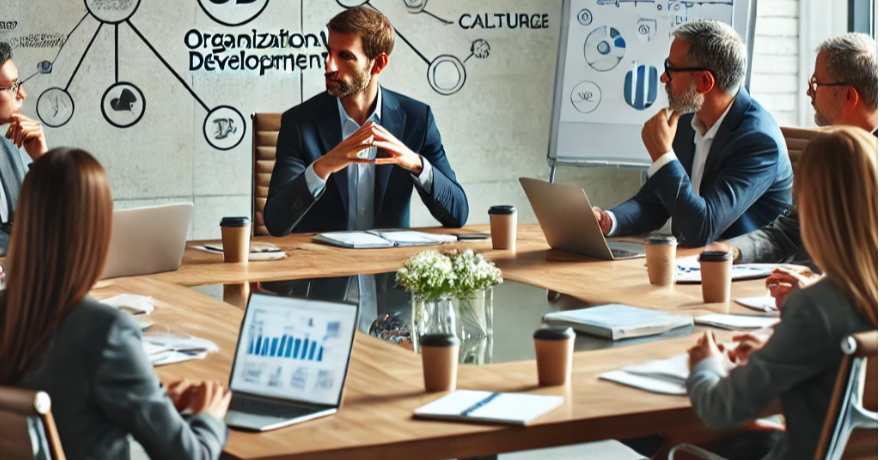 organizational development consulting