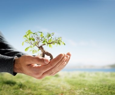 How to Turn Discipline Issues Into Growth Opportunities
