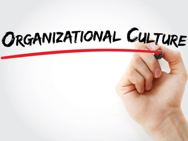 12 Types of Organizational Culture You Should Know