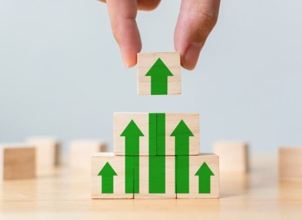 Organisation-development Organisation-development