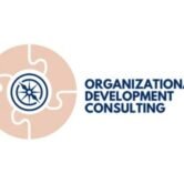 Organizational Development Consulting